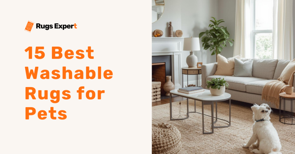 15 Best Washable Rugs for Pets 2025 ideas